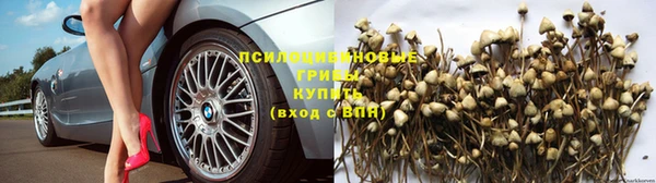 винт Заволжье