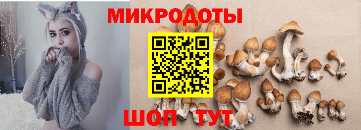 Галлюциногенные грибы Magic Shrooms Саянск