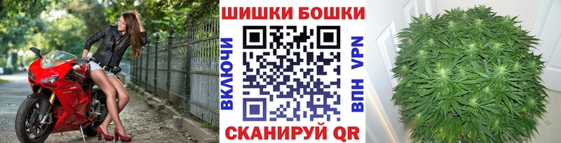 Бошки марихуана OG Kush  купить   Саянск 